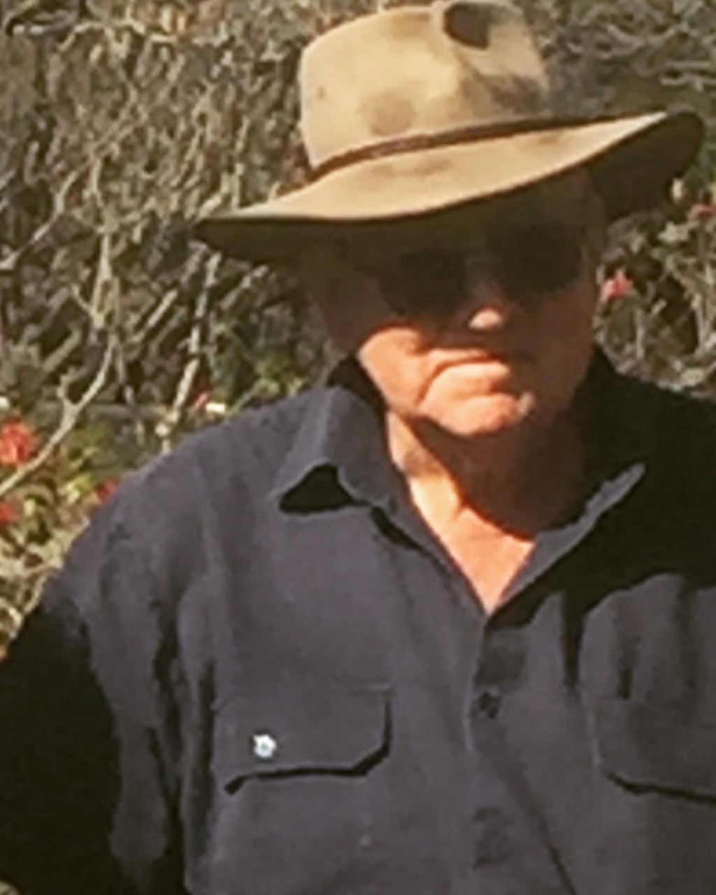 The Cattleman