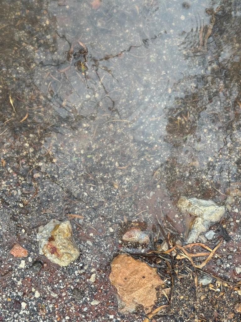 A Mini Mindful Moment: in a&nbsp;Downpour…