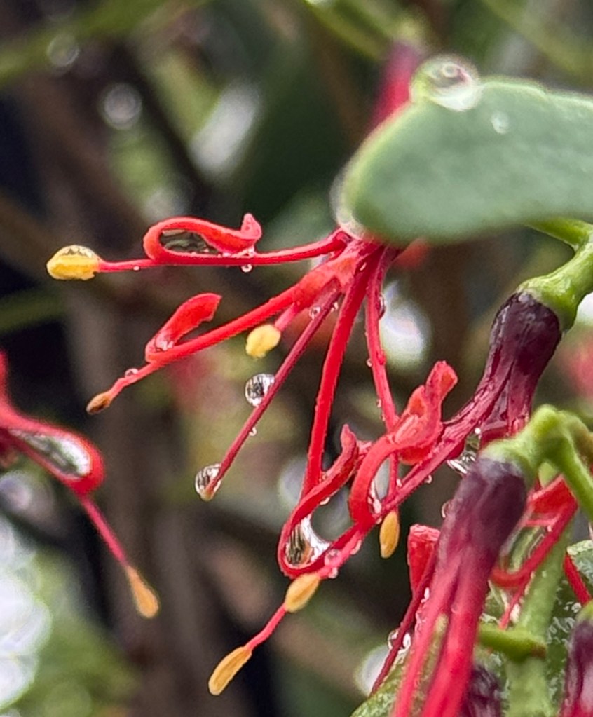 A Mini Mindful Moment Caught in a Spring&nbsp;Shower