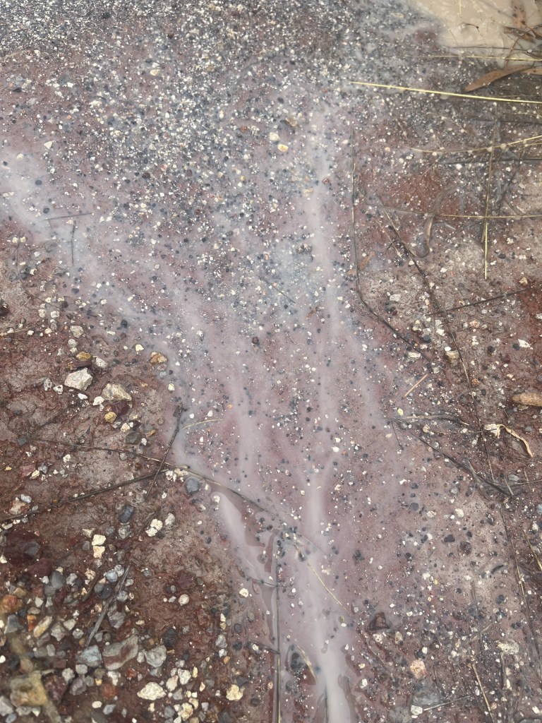 A Mini Mindful Moment: When The Water&nbsp;Flows