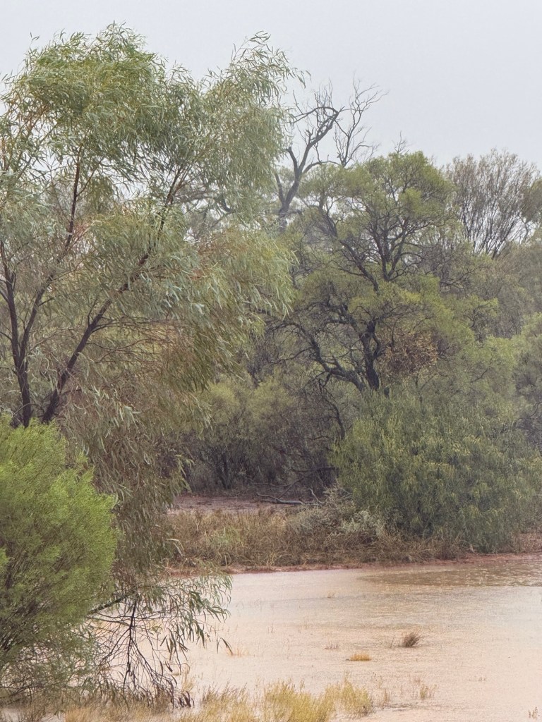 A Cleansing Mini Mindful Moment of Natural Renewal in the&nbsp;Outback