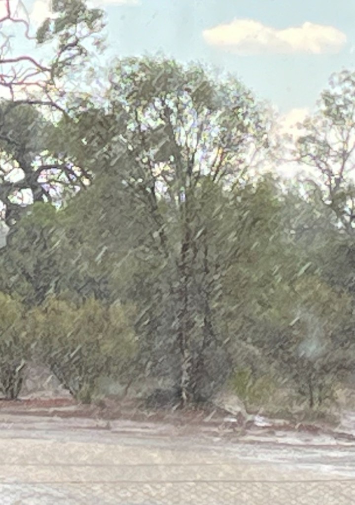 A Mini Mindful Moment Changing Ones Mindset with the Therapeutic Power of&nbsp;Rain