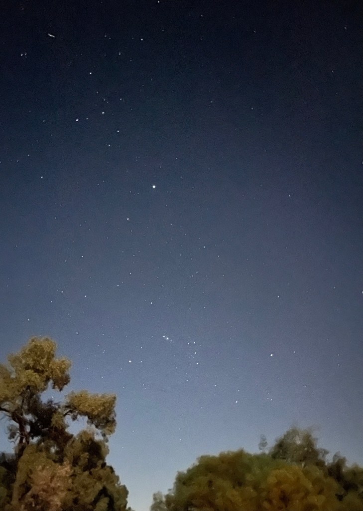 A Poetic Moment Navigating Life’s Turbulence to Thrive Through Ones&nbsp;Challenges