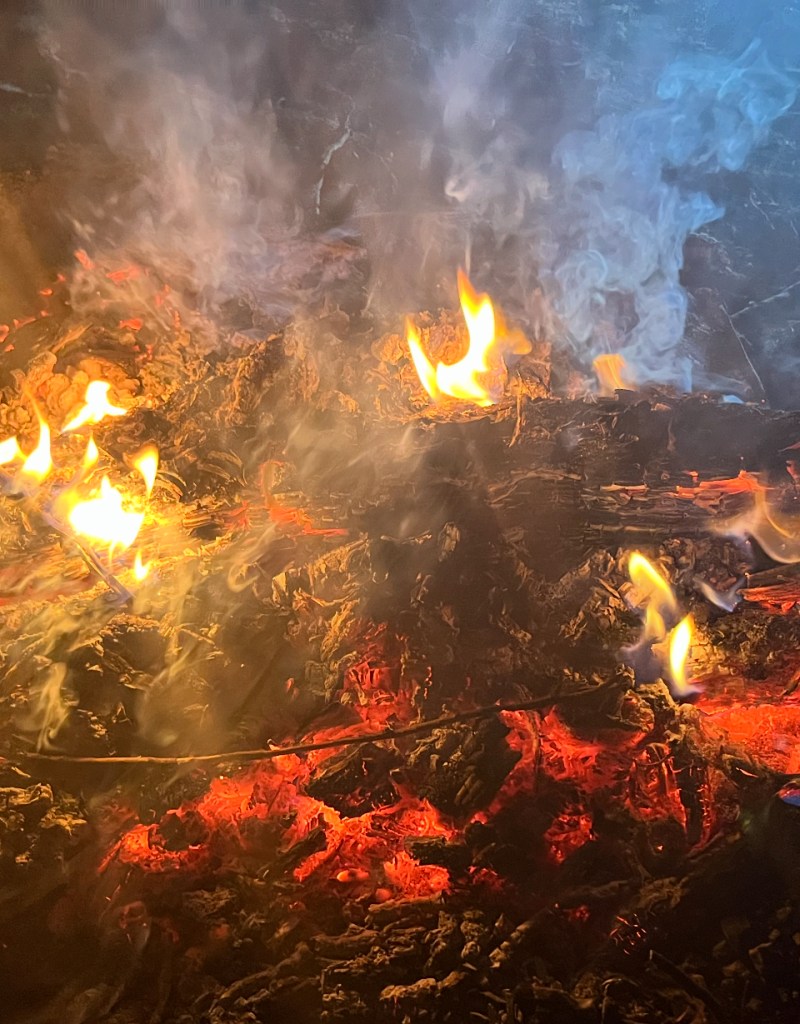 A Poetic Moment Pondering the Balance of Sacrifice and Evolution in&nbsp;Life