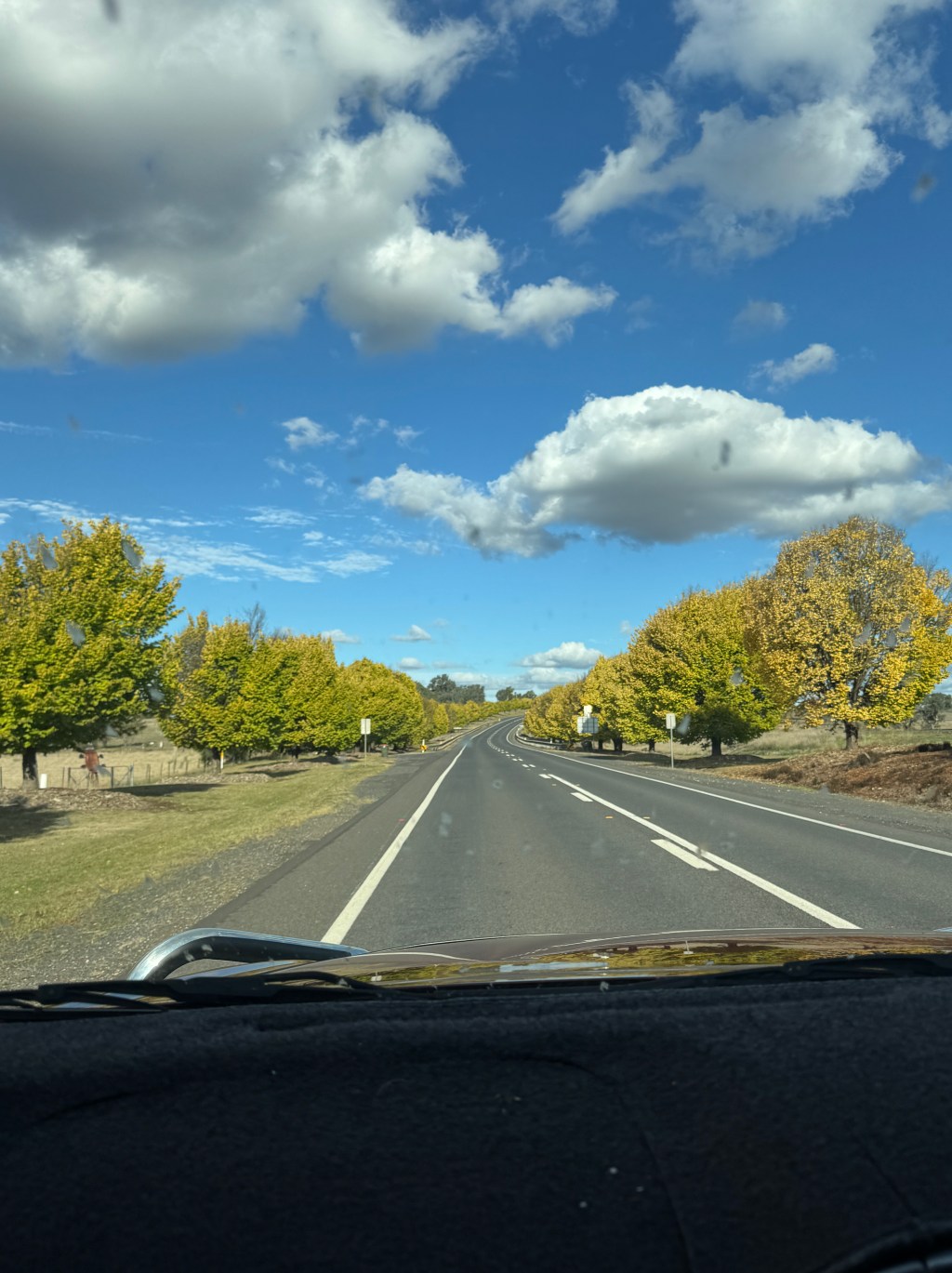 A Poetic Moment Pondering Releasing the Mundane to Handle Disruptions with Mindful&nbsp;Focus