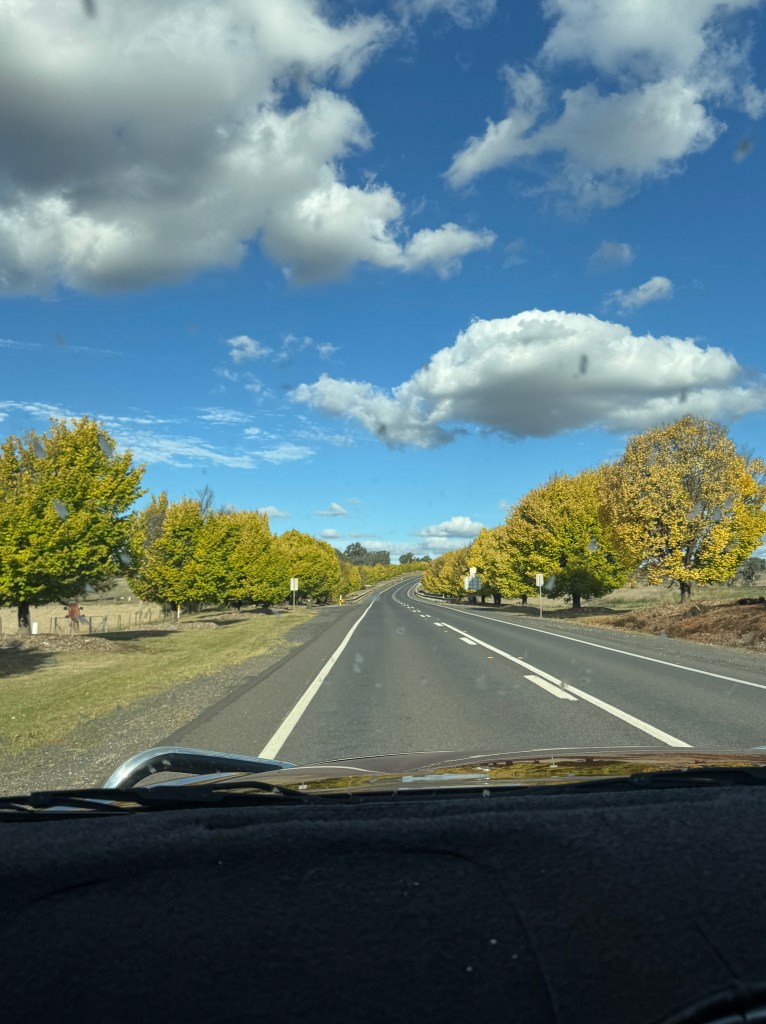 A Poetic Moment Pondering Releasing the Mundane to Handle Disruptions with Mindful&nbsp;Focus