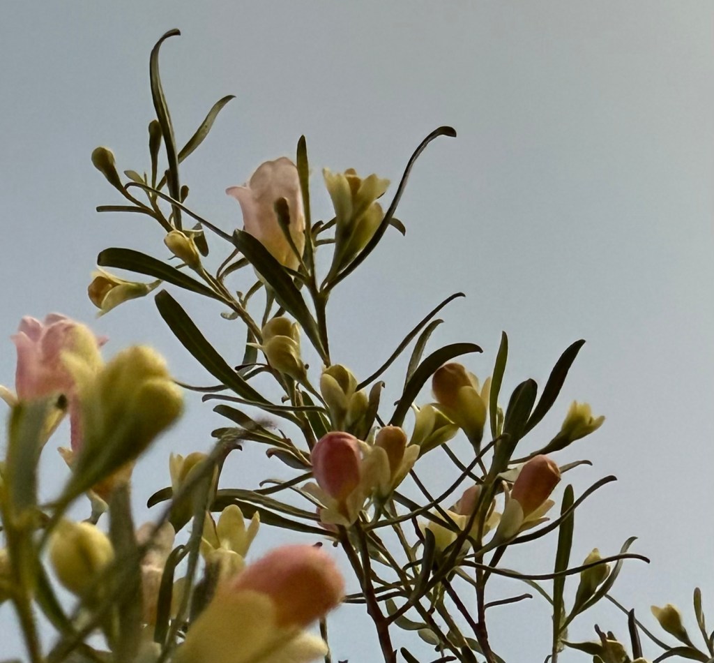 A Poetic Moment Pondering how Shaping Your Mindset Shapes Your&nbsp;Life
