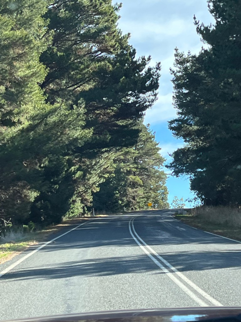 A Mini Mindful Moment Perusing a Seraphic yet Mountainous&nbsp;Drive